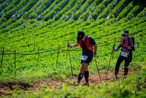 BIB: 
                            <button type="button" onclick="openModal(19162839)" class="btn btn-primary btn-sm float-right btn-popup" data-toggle="modal" data-target=".modal-high-quality">
                        <i class="fas fa-shopping-cart"></i> Add to Cart
                    </button>
                                            <button type="button" onclick="isThisMe(19162839, true)" class="btn btn-success btn-sm float-right btn-popup btn-isme hidden" data-toggle="tooltip" data-placement="bottom" title="นี่คือรูปของคุณใช่ไหม คลิกที่นี่เพื่อเอาเข้าอัลบั้ม">
                        <i class="fas fa-plus"></i> Add to album
                    </button>
                    <button type="button" onclick="isThisMe(19162839, false)" class="btn btn-warning btn-sm float-right btn-popup btn-isnotme hidden">
                        <i class="fas fa-ban"></i> Remove from album
                    </button>